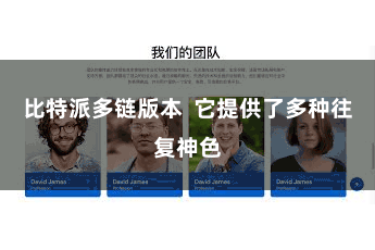 比特派多链版本  它提供了多种往复神色