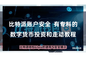 比特派账户安全  有专科的数字货币投资和走动教程