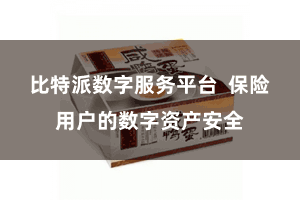 比特派数字服务平台  保险用户的数字资产安全