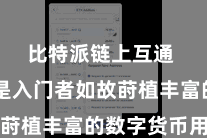 比特派链上互通  无论是入门者如故莳植丰富的数字货币用户